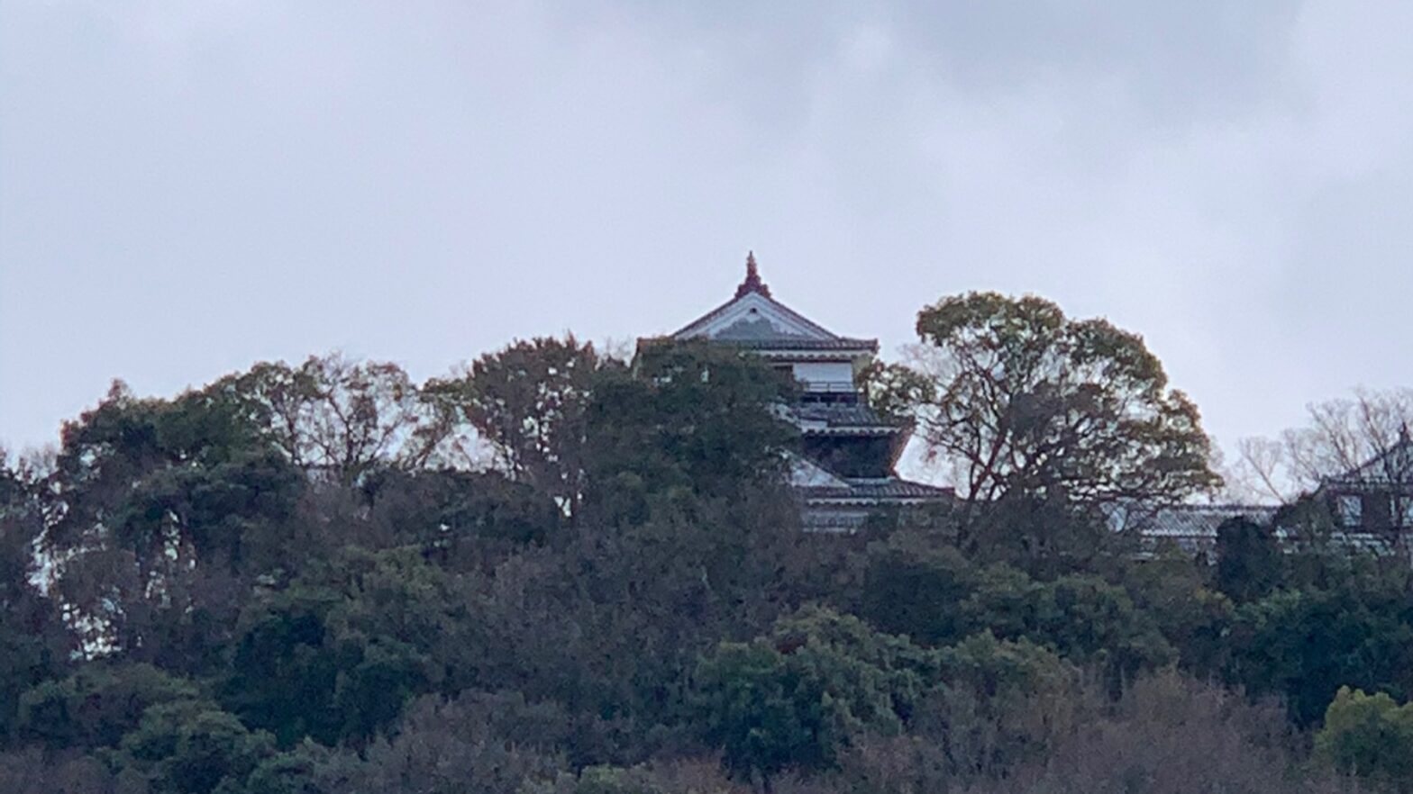 家から見える松山城